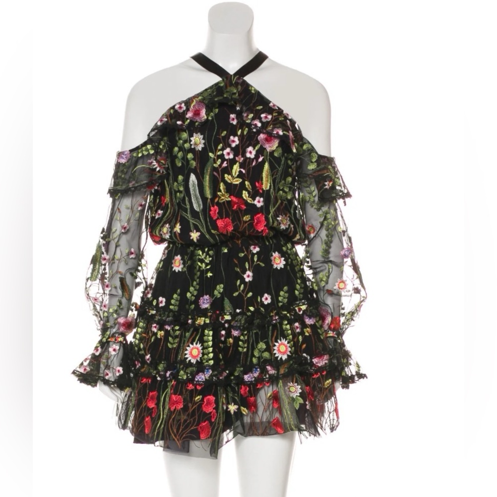Alexis Embroidered mini dress